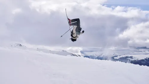 Pánská zimní lyžařská bunda Dare2b FREERIDE černá/béžová (11)