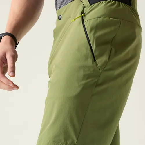Pánské outdoorové kraťasy Dare2b TORREK LITE zelená (1)